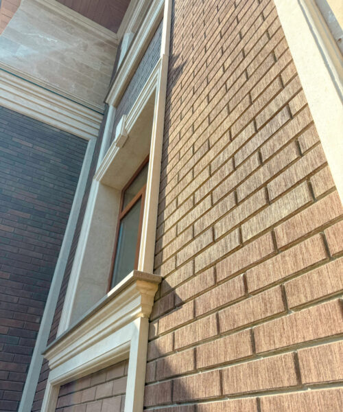 6 (11)